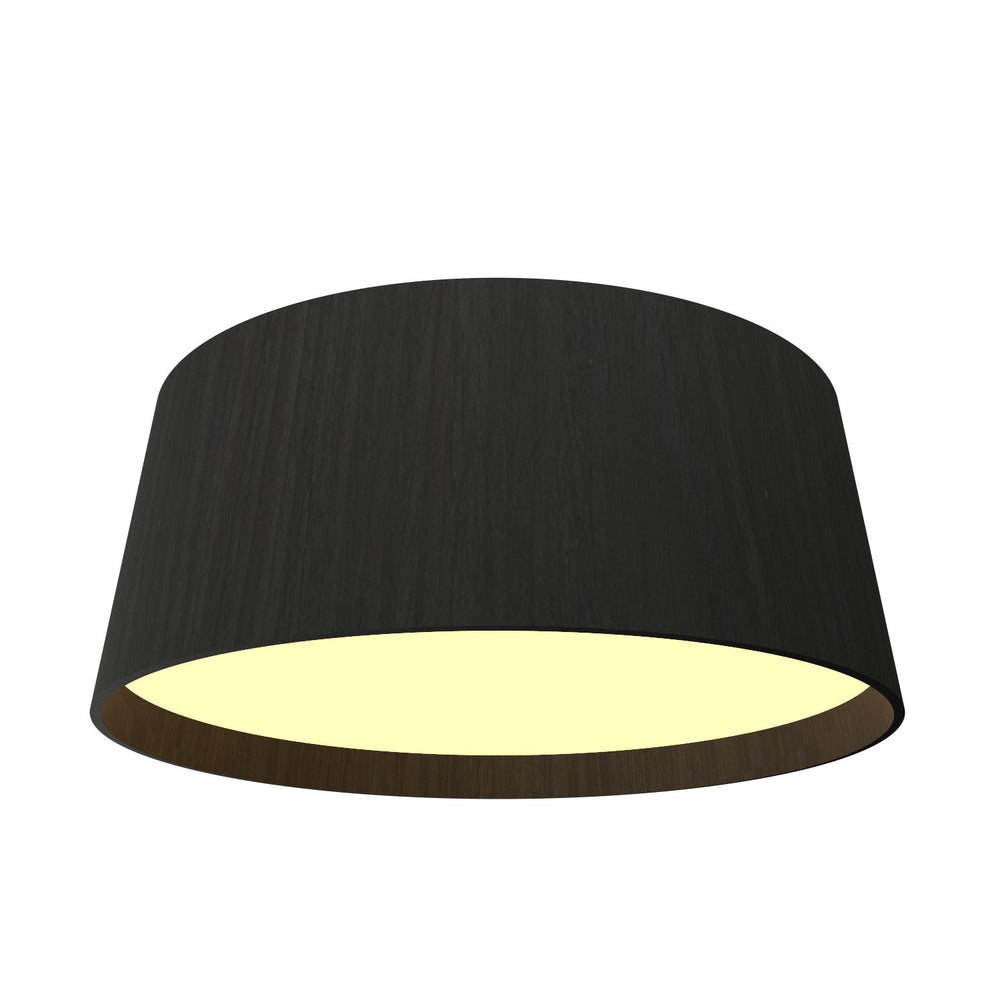 Accord Lighting - LED Ceiling Mount - Conical - Organic Black- Union Lighting Luminaires Decor