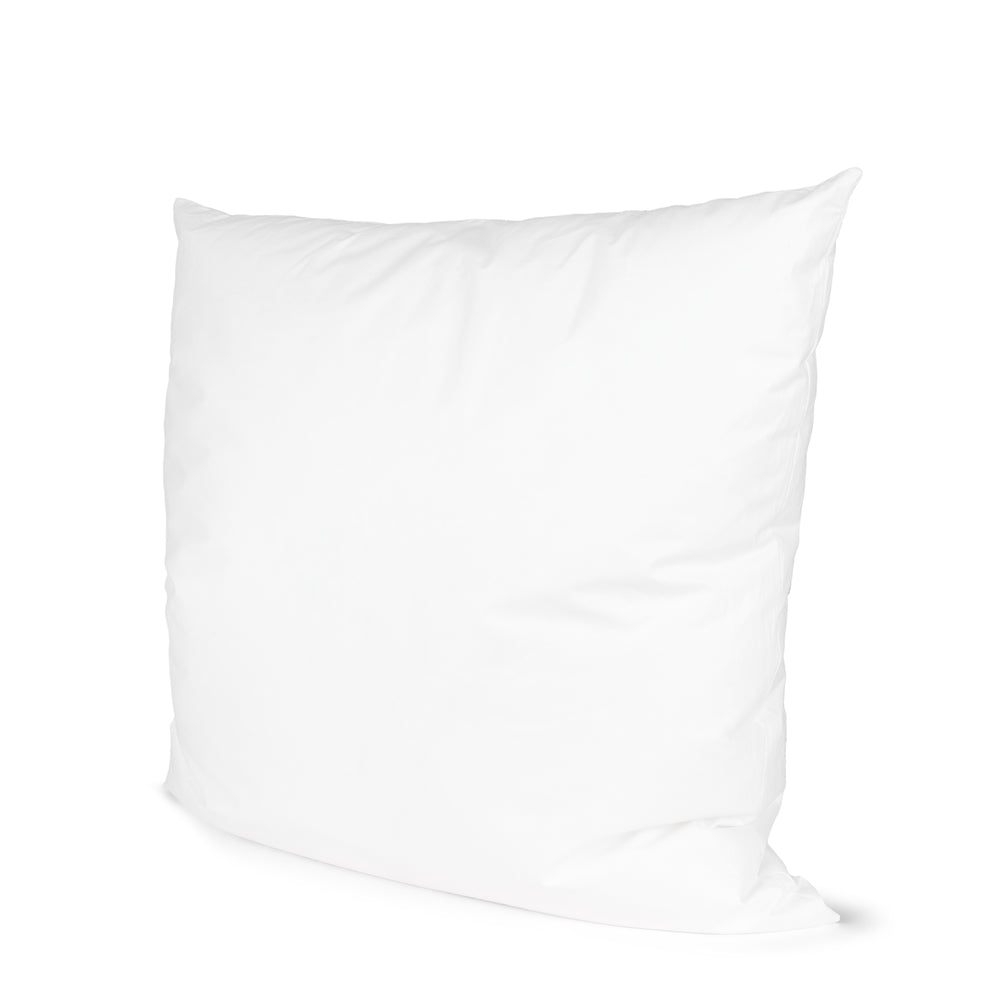 Coussins de remplissage 22x22