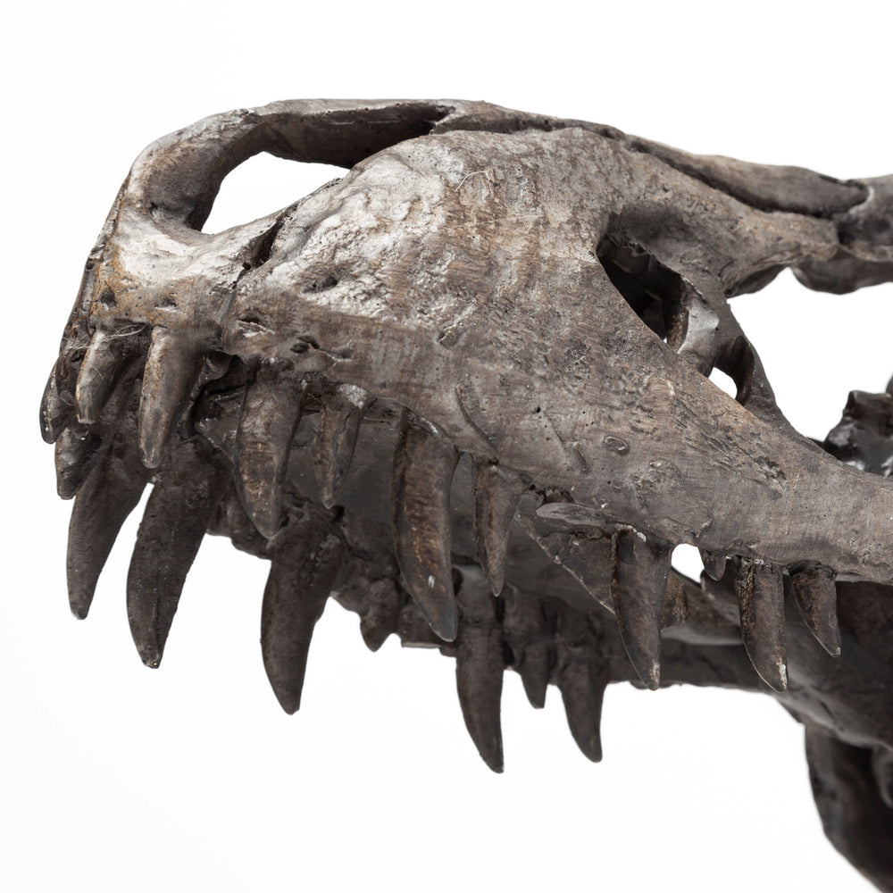 Jurassic Object