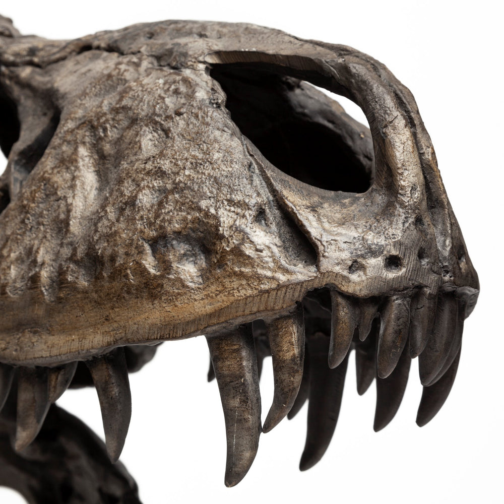 Jurassic Object