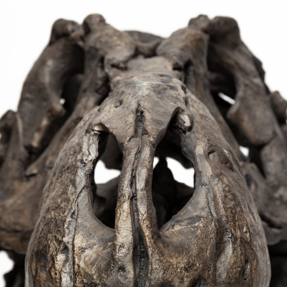 Jurassic Object
