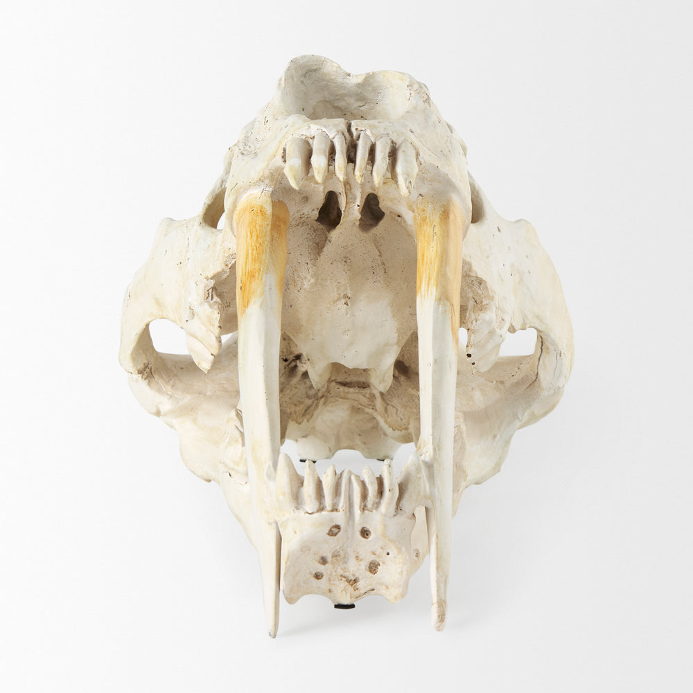 Objet fossile