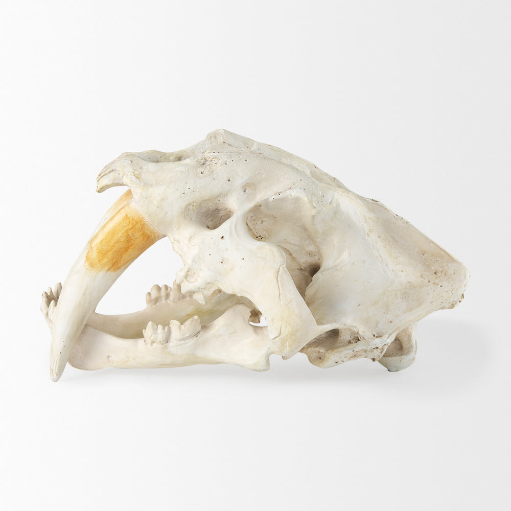 Objet fossile