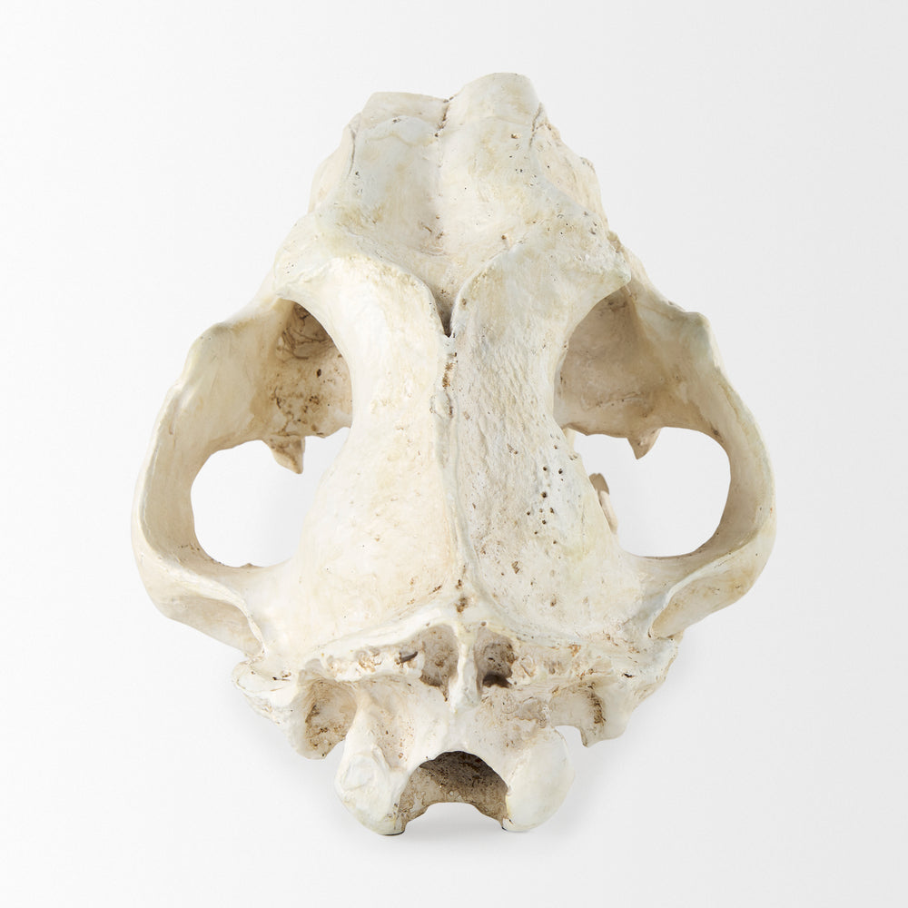 Objet fossile