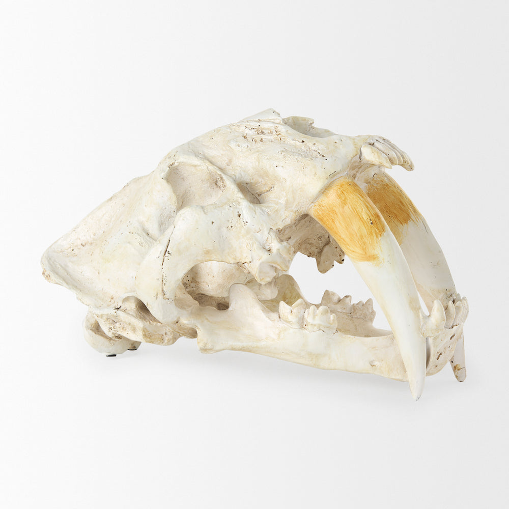 Objet fossile
