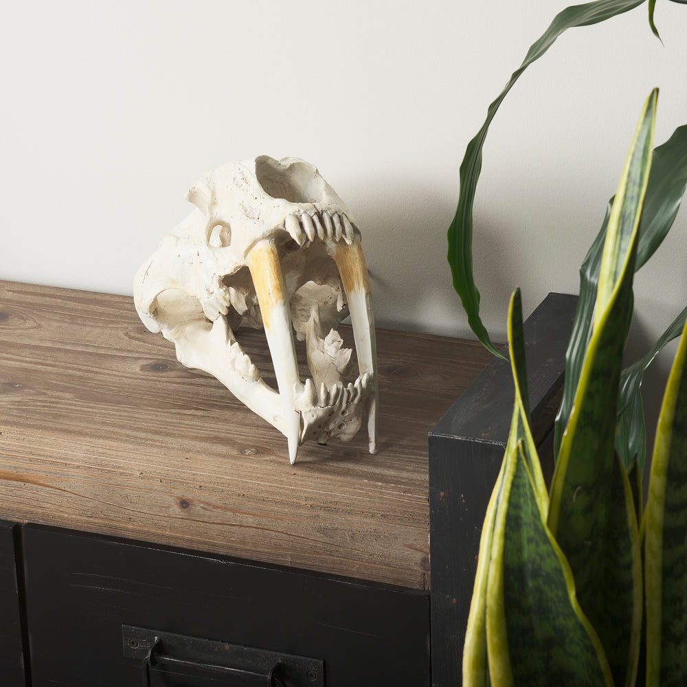 Objet fossile