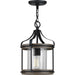 Progress Canada - One Light Outdoor Pendant - Brenham - Black- Union Lighting Luminaires Decor