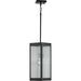 Progress Canada - One Light Hanging Lantern - Felton - Black- Union Lighting Luminaires Decor