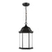 Generation Lighting Canada - One Light Outdoor Pendant - Sevier - Black- Union Lighting Luminaires Decor