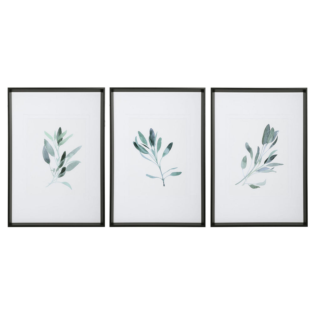 Uttermost - Wall Art - Simple Sage - Black- Union Lighting Luminaires Decor