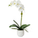 Uttermost - Orchid - Cami Orchid - Textured White- Union Lighting Luminaires Decor