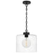 Quoizel - One Light Mini Pendant - Abner - Matte Black- Union Lighting Luminaires Decor