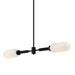 Troy Lighting Canada - Two Light Linear Pendant - Annex - Anodized Black- Union Lighting Luminaires Decor