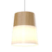 Accord Lighting - One Light Pendant - Conical - Louro Freijo- Union Lighting Luminaires Decor