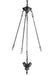 Ralph Lauren Canada - 12 Light Chandelier - Radford - Natural Brass and Natural Rift Oak- Union Lighting Luminaires Decor
