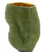 Currey and Company - Vase - Jackfruit Collection - Green/Gold- Union Lighting Luminaires Decor