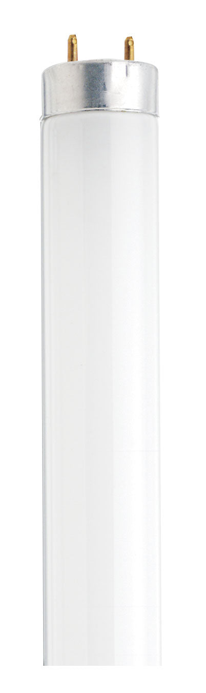 Satco Canada - Light Bulb - White- Union Lighting Luminaires Decor
