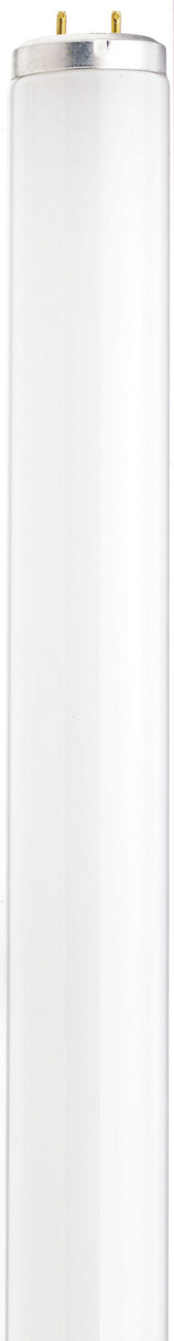 Satco Canada - Light Bulb - White- Union Lighting Luminaires Decor