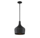 Meridian - One Light Pendant - Mpend - Matte Black- Union Lighting Luminaires Decor