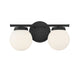 Meridian - Two Light Bathroom Vanity Light - Matte Black- Union Lighting Luminaires Decor