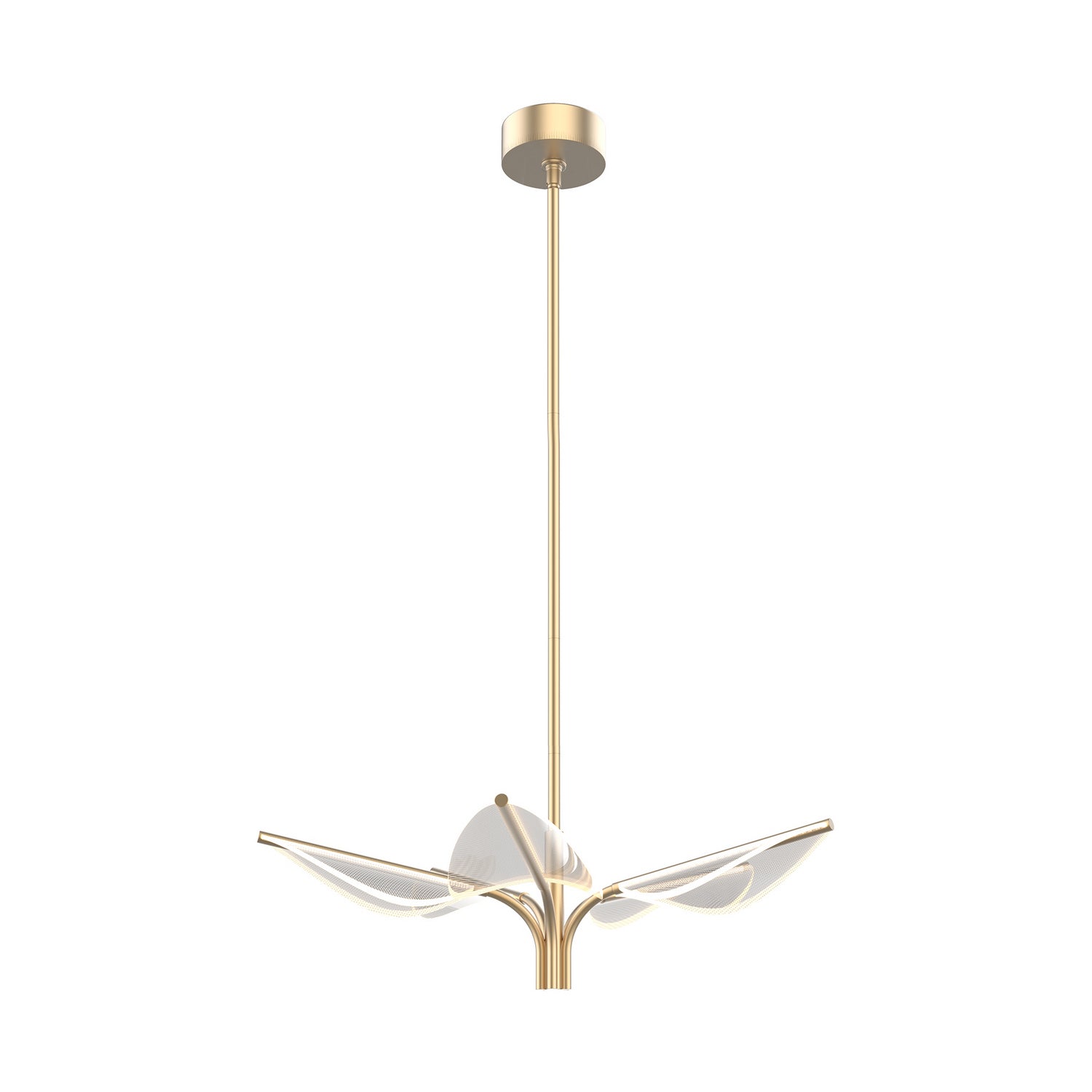 Alora Canada - LED Pendant - Flora - Natural Brass- Union Lighting Luminaires Decor