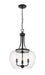 Z-Lite Canada - Three Light Pendant - Joliet - Matte Black- Union Lighting Luminaires Decor