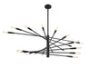 Z-Lite Canada - 20 Light Chandelier - Ascension - Matte Black- Union Lighting Luminaires Decor