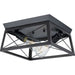 Progress Canada - Two Light Flush Mount - Briarwood - Textured Black- Union Lighting Luminaires Decor