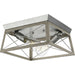 Progress Canada - Two Light Flush Mount - Briarwood - Galvanized- Union Lighting Luminaires Decor