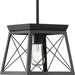 Progress Canada - One Light Pendant - Briarwood - Textured Black- Union Lighting Luminaires Decor