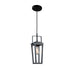 Artcraft Canada - One Light Pendant - Carriage - Black- Union Lighting Luminaires Decor
