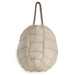Regina Andrew - Objet - Turtle - Bleached- Union Lighting Luminaires Decor