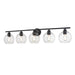 DVI Canada - Five Light Vanity - Andromeda - Graphite w/Clear Glass- Union Lighting Luminaires Decor