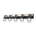 DVI Canada - Five Light Vanity - Lake Of The Woods - Ebony And Satin Nickel w/Clear Glass- Union Lighting Luminaires Decor