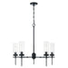 Capital Lighting - Five Light Chandelier - Riley - Matte Black- Union Lighting Luminaires Decor