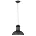 Generation Lighting Canada - One Light Outdoor Pendant - Fredricksburg - Black- Union Lighting Luminaires Decor