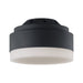 Visual Comfort Fan Canada - LED Fan Light Kit - Aspen - Midnight Black- Union Lighting Luminaires Decor