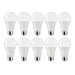 Satco Canada - Light Bulb - Frost- Union Lighting Luminaires Decor