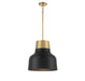 Meridian - One Light Pendant - Matte Black with Natural Brass- Union Lighting Luminaires Decor
