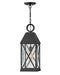Hinkley Canada - LED Hanging Lantern - Briar - Museum Black- Union Lighting Luminaires Decor