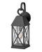 Hinkley Canada - LED Wall Mount - Briar - Museum Black- Union Lighting Luminaires Decor