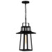 Quoizel - One Light Outdoor Hanging Lantern - Devonport - Matte Black- Union Lighting Luminaires Decor