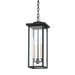 Troy Lighting Canada - Three Light Outdoor Pendant - Eden - Textured Black- Union Lighting Luminaires Decor