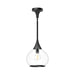 Alora Canada - One Light Pendant - Hazel - Clear Glass/Matte Black- Union Lighting Luminaires Decor