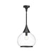 Alora Canada - One Light Pendant - Hazel - Clear Glass/Matte Black- Union Lighting Luminaires Decor