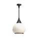 Alora Canada - One Light Pendant - Hazel - Matte Black/Opal Matte Glass- Union Lighting Luminaires Decor