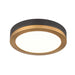 DVI Canada - LED Flush Mount - Temagami Cct - Brass And Graphite- Union Lighting Luminaires Decor
