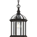 Progress Canada - One Light Outdoor Hanging Lantern - Dillard - Antique Bronze- Union Lighting Luminaires Decor