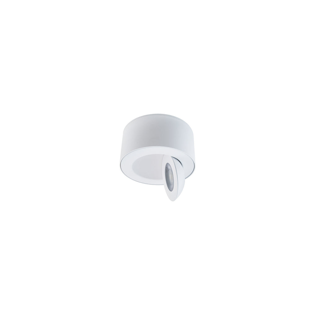 W.A.C. Canada - LED Outdoor Flush Mount - Peek - White- Union Lighting Luminaires Decor