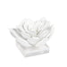 Regina Andrew Canada - Sculpture - Succulent - White- Union Lighting Luminaires Decor
